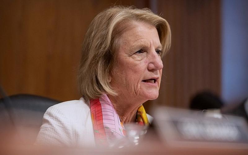 U.S. Senate panel discusses Westerman-backed bill to speed infrastructure permits, scale back environmental law | Arkansas Democrat Gazette