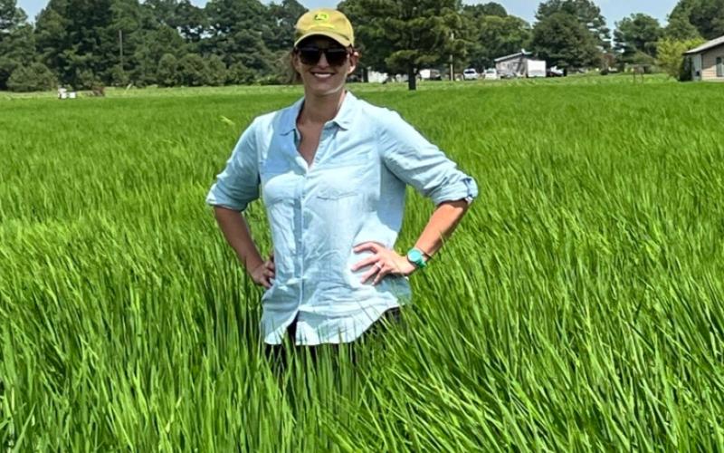 Arkansas Dem Running for Senate on 'Fairness' Platform Backed Race-Based Hiring and Admissions Policies