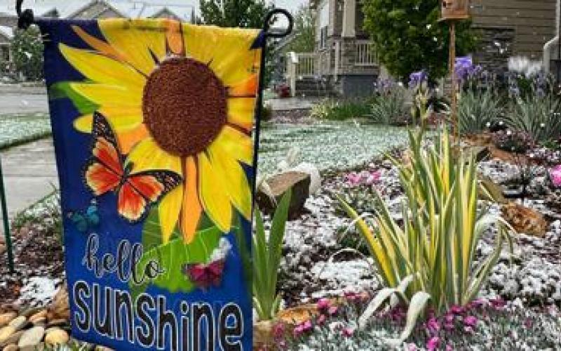 Spring plans meet snow in Denver as a late storm could be the season's biggest