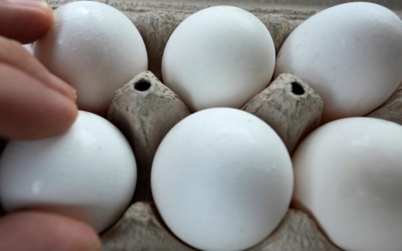 Carolinas, Georgia are included in 17 state salmonella outbreak linked to eggs