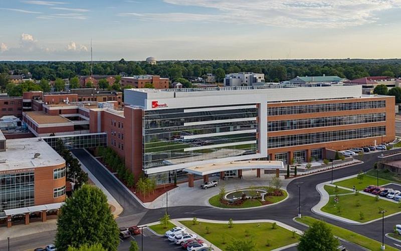 Arkansas' rural health grant recipients announced | Northwest Arkansas Democrat-Gazette