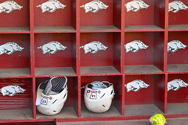 Arkansas falls to No. 11 in latest ESPN/USA Softball poll | Whole Hog Sports