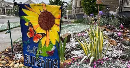 Spring plans meet snow in Denver as a late storm could be the season's biggest