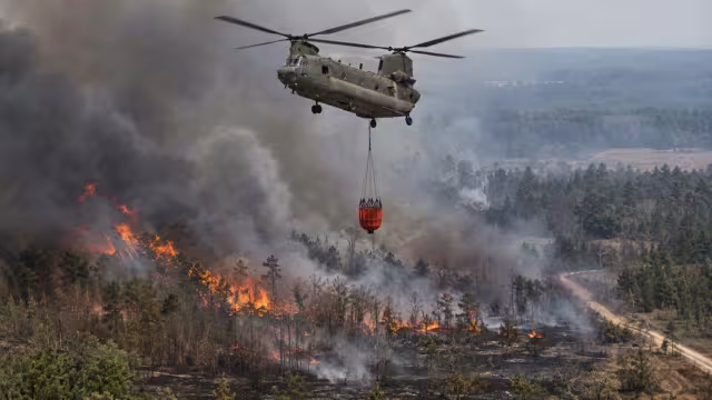 South Carolina Forestry task force joins Arkansas wildfire fight